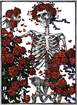 grateful-dead-mp3-skeleton-roses.jpg